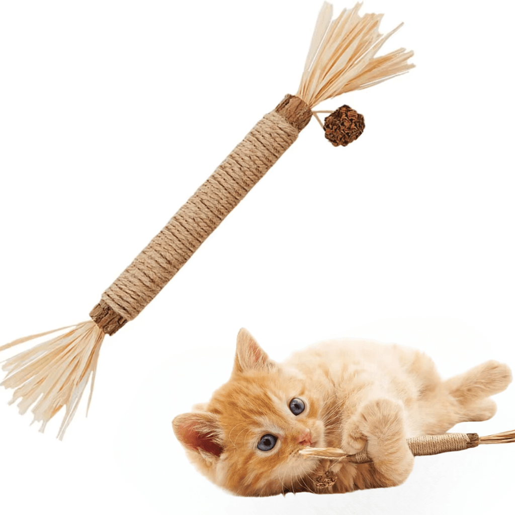 ZAHNLIEBE Katzen-Zahnpflege – Kausticks zur Maulhygiene