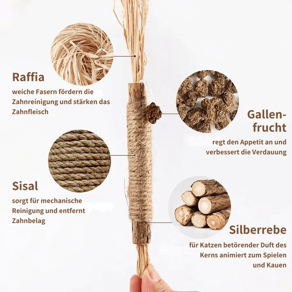 ZAHNLIEBE Katzen-Zahnpflege – Kausticks zur Maulhygiene