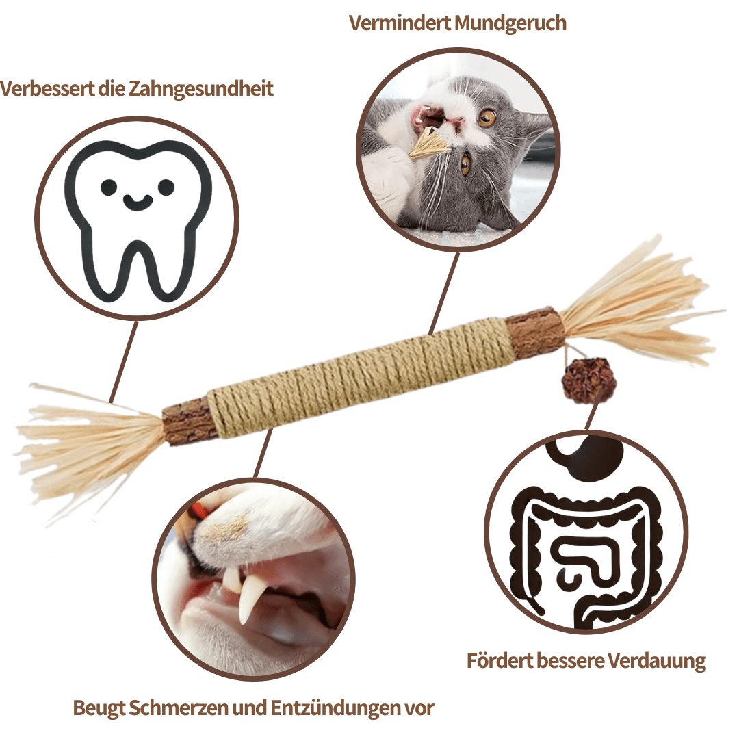 ZAHNLIEBE Katzen-Zahnpflege – Kausticks zur Maulhygiene
