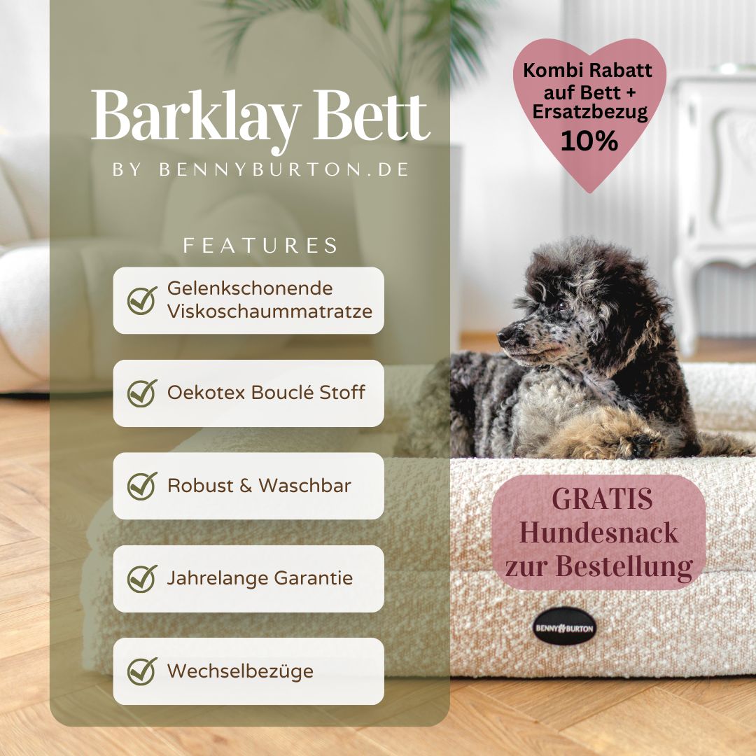 Barklay Größe L+/ XL mit Bouclébezug