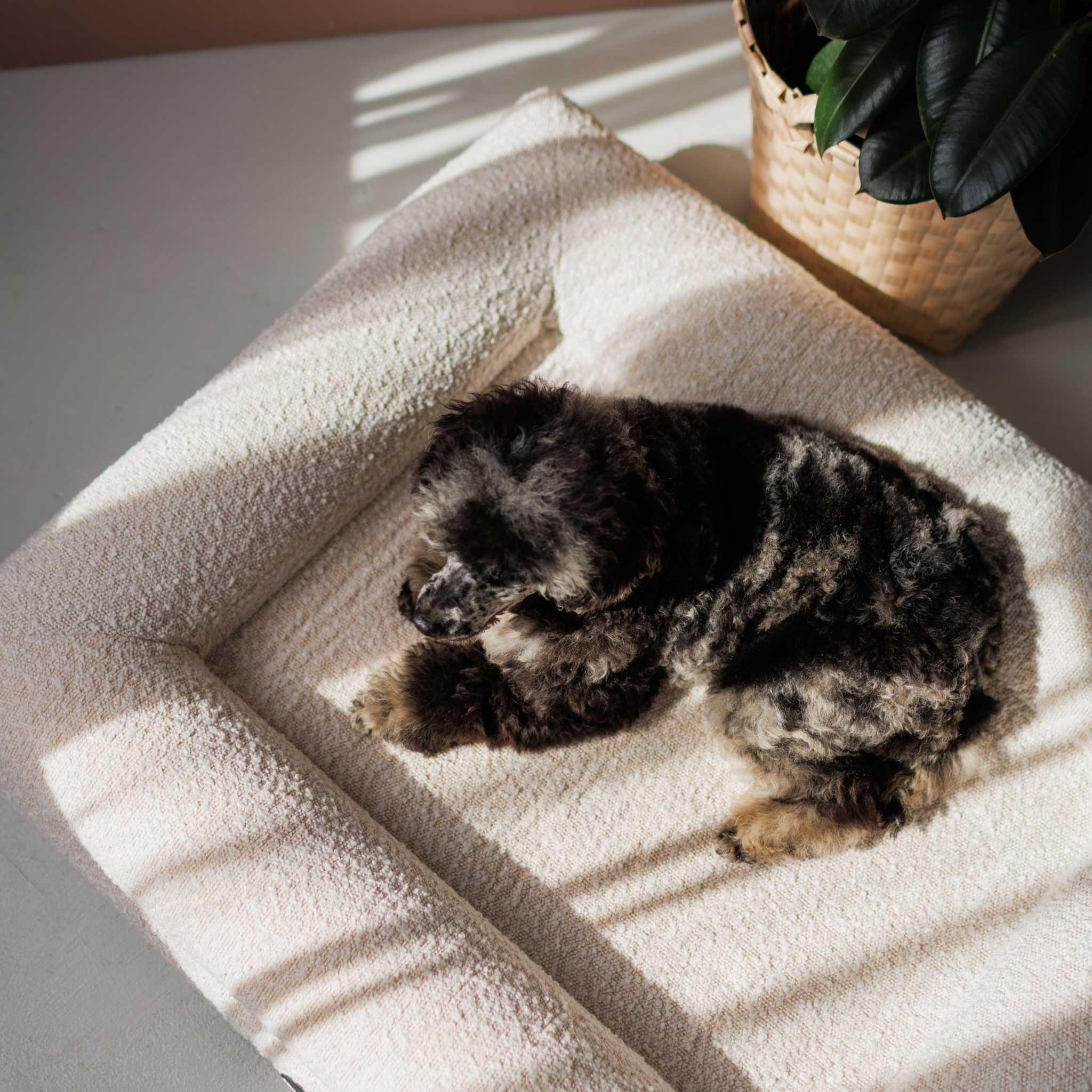 Hundebett Barklay Größe S mit Bouclébezug