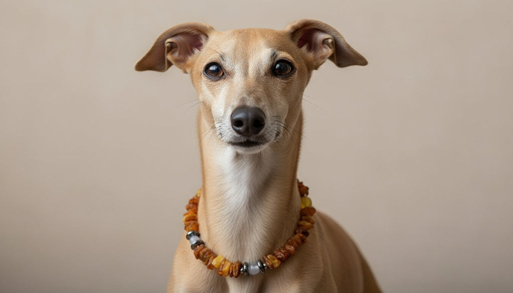 Hunde Bernsteinkette mit Achat und Hämatit Länge 22cm