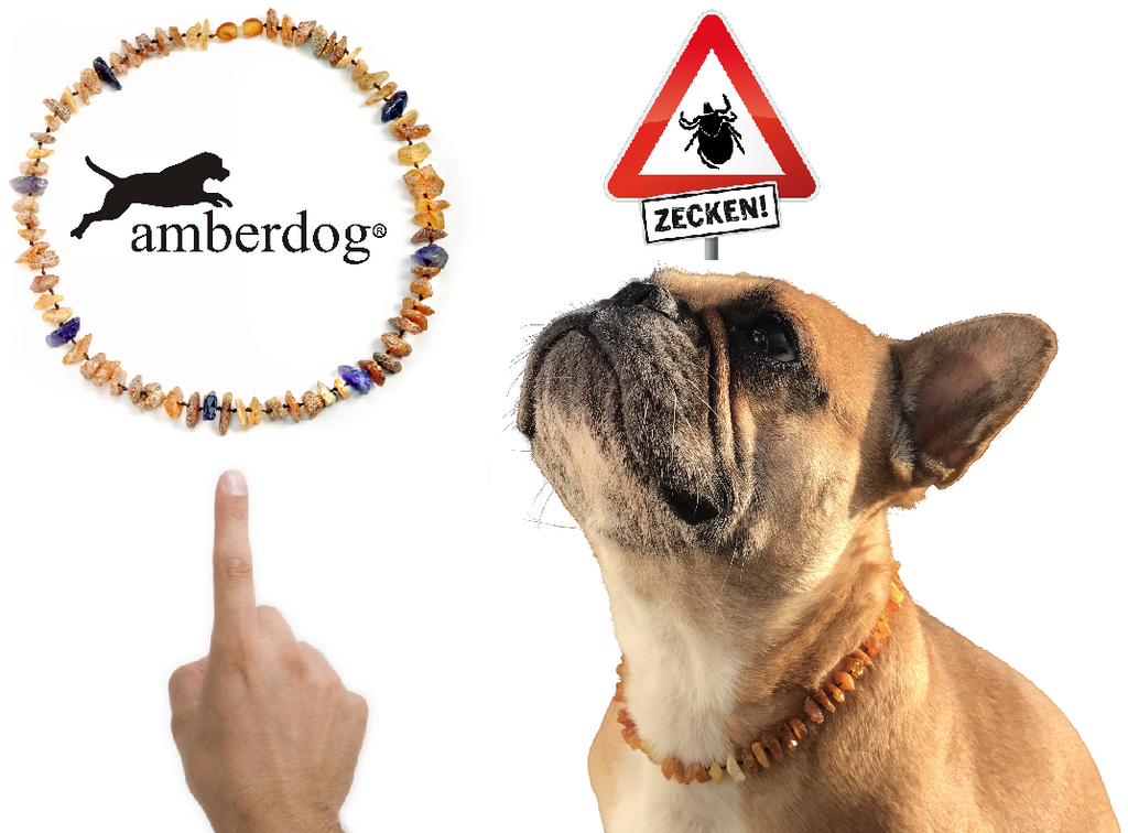 Hunde Bernsteinkette Lapislazuli