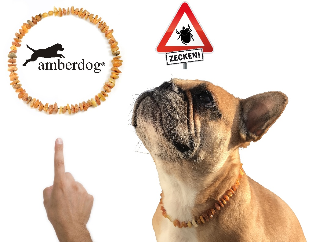 Hunde Bernsteinkette Sonne