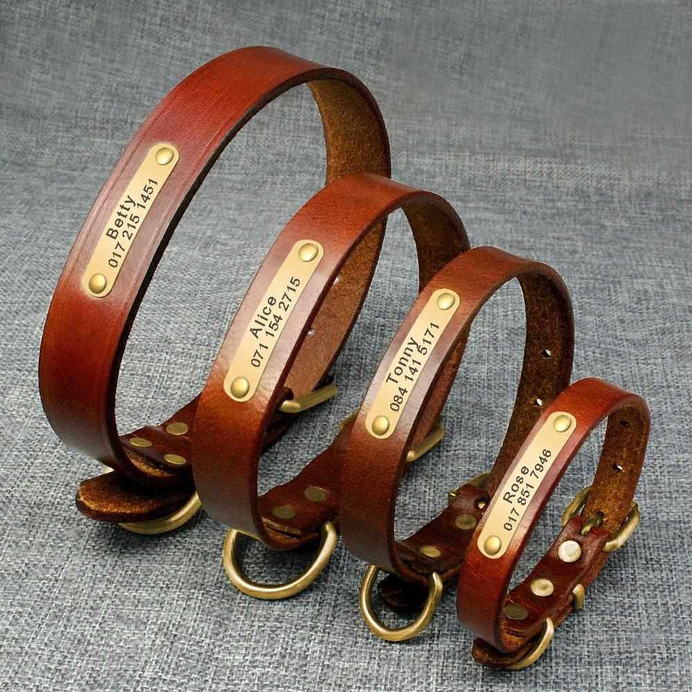 Leder Hundehalsband mit goldfarbener Marke, Gravur Name und Telefon