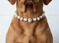 Hundekette EM-Keramik-Wood-Flex