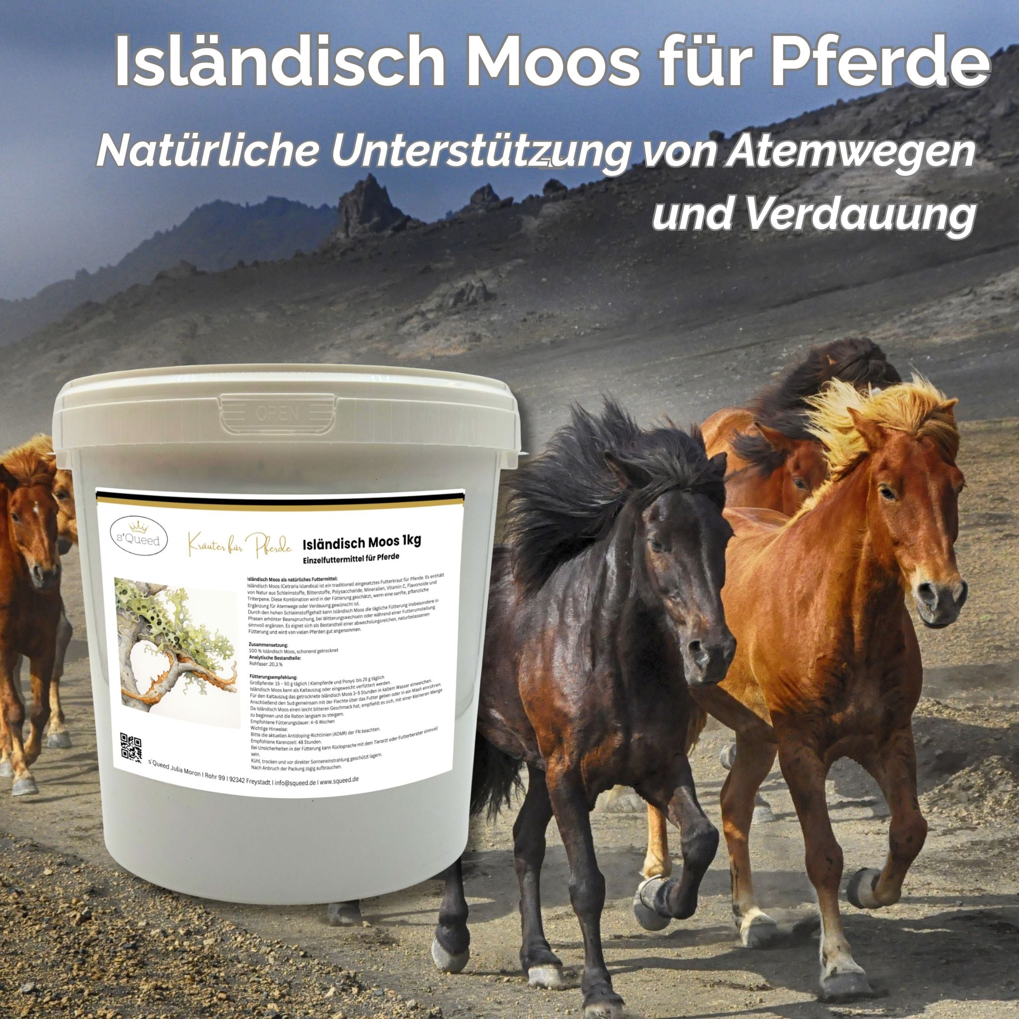Isländisch Moos Pferd 1kg