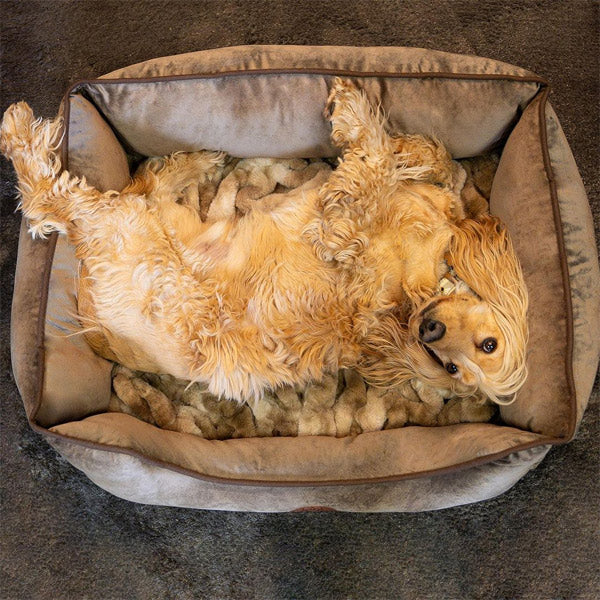 Hundebett Henri