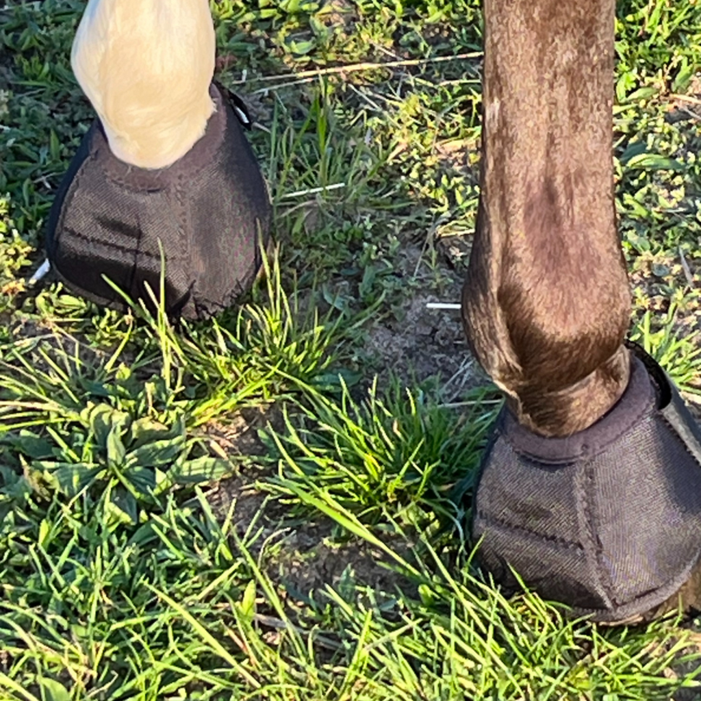 Hufglocken Bell Boots