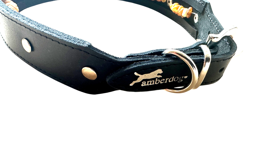 Hunde Lederhalsband mit integrierter Bernsteinkette