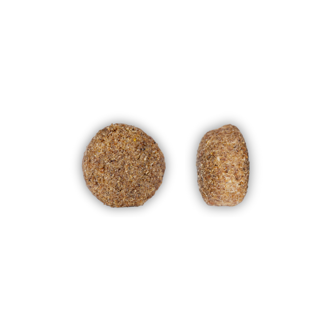MyPetClub High Protein