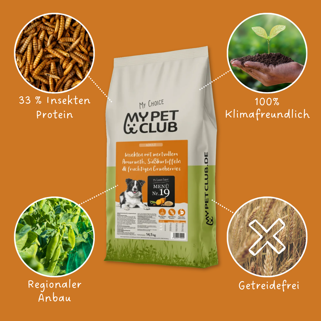 MyPetClub Insekten