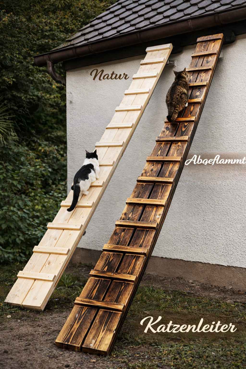 Medikratz Katzenleiter 479cm