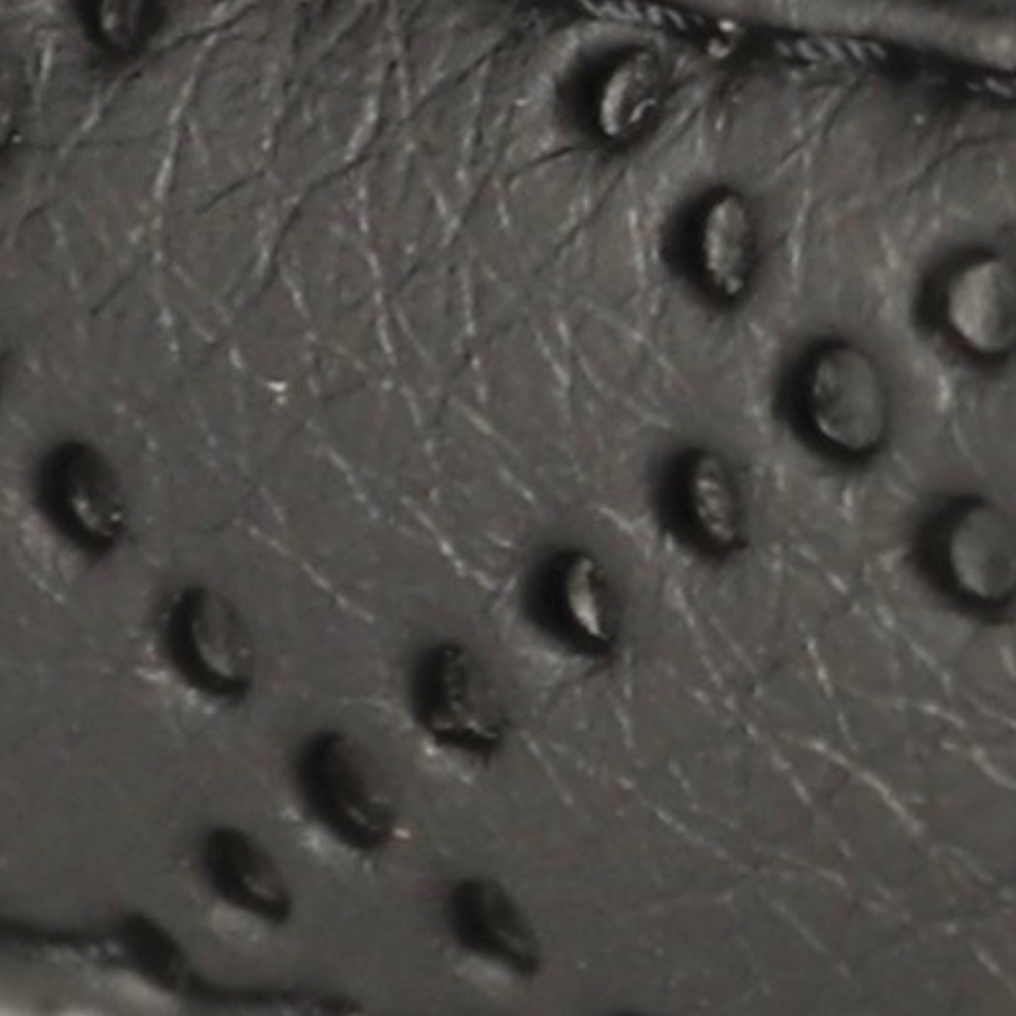 Leine Khakigrün Aus Nylon Längenverstellbar Im Rautendesign