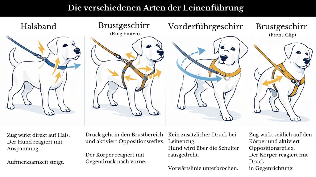 Vorderführgeschirr STURMFREI® Original (16 mm) – XXS & XS - höhenverstellbar aus BioThane®
