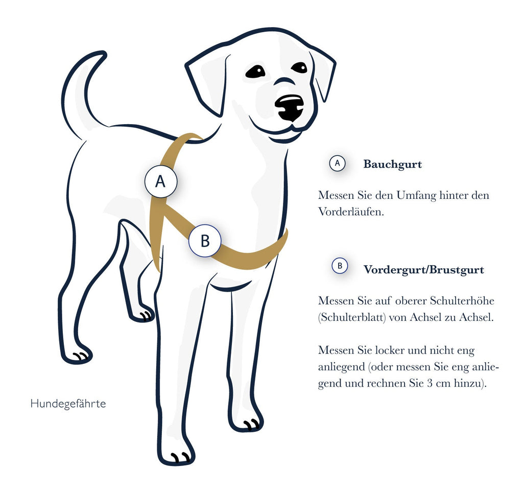 Vorderführgeschirr STURMFREI® Saver (16 mm) – höhenverstellbar aus BioThane® - Extra-Sicherung