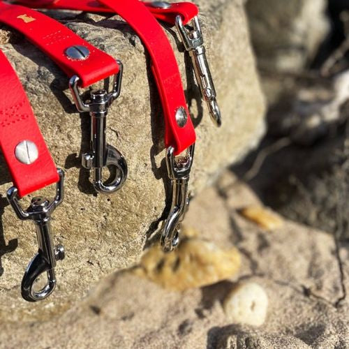 Premium Hundeleine UM'S ECK aus BioThane®/POP - Band - mit Edelstahlkomponenten - 1,5 m