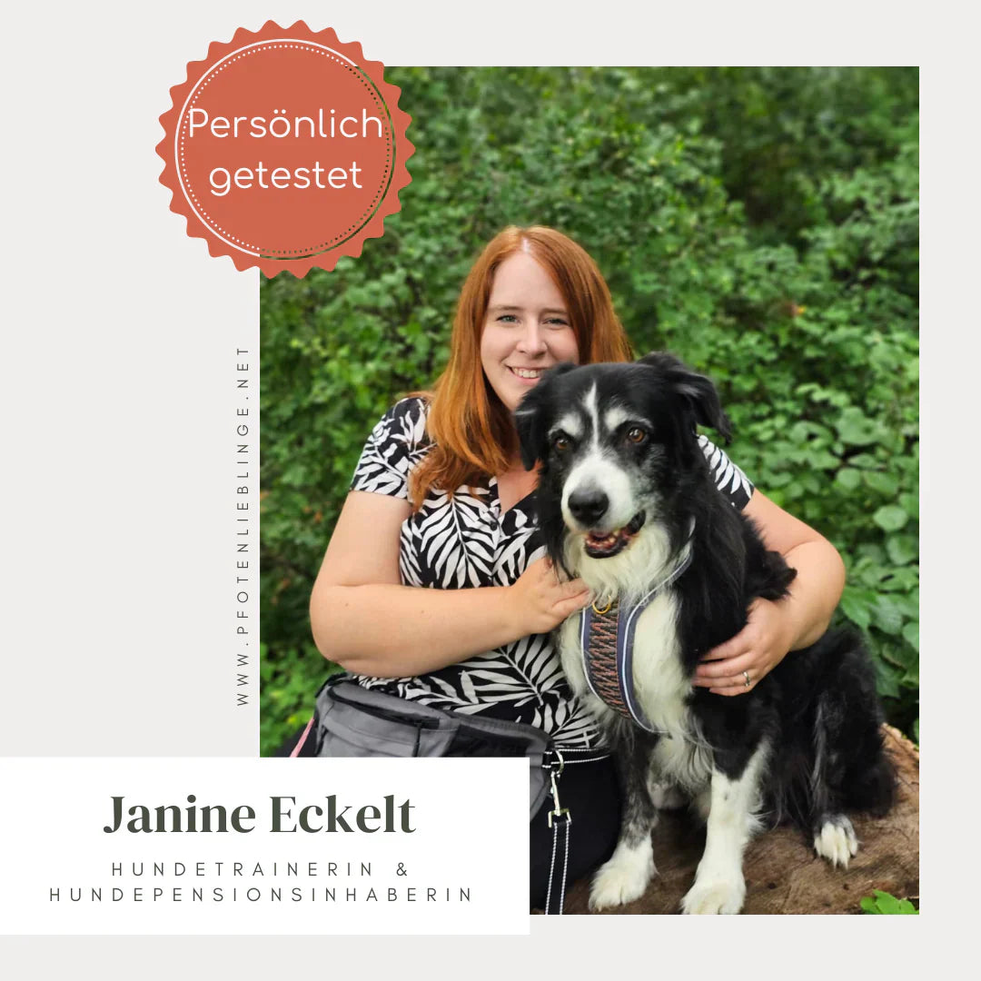 Hundeleine „Rose Sage“ – handgemacht, 2m verstellbar & besonders stabil